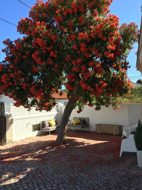 Cosy Sintra Hotel Bagian luar foto