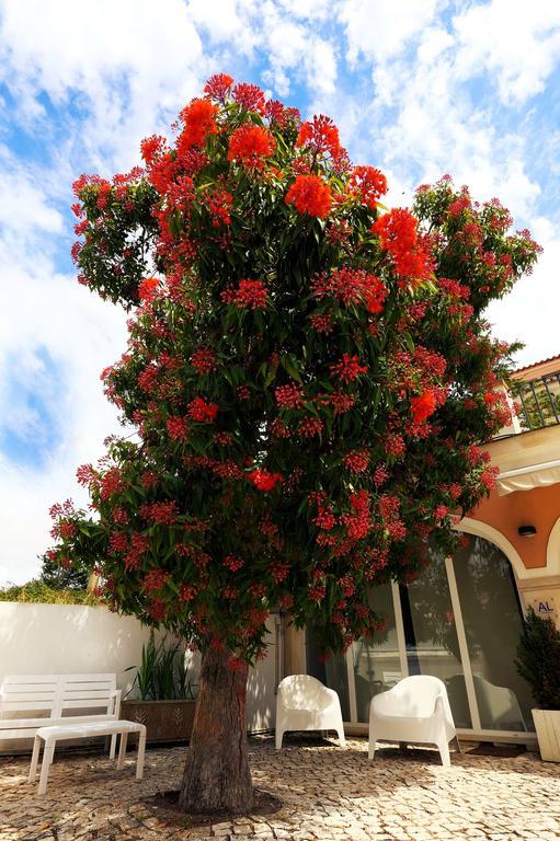 Cosy Sintra Hotel Bagian luar foto