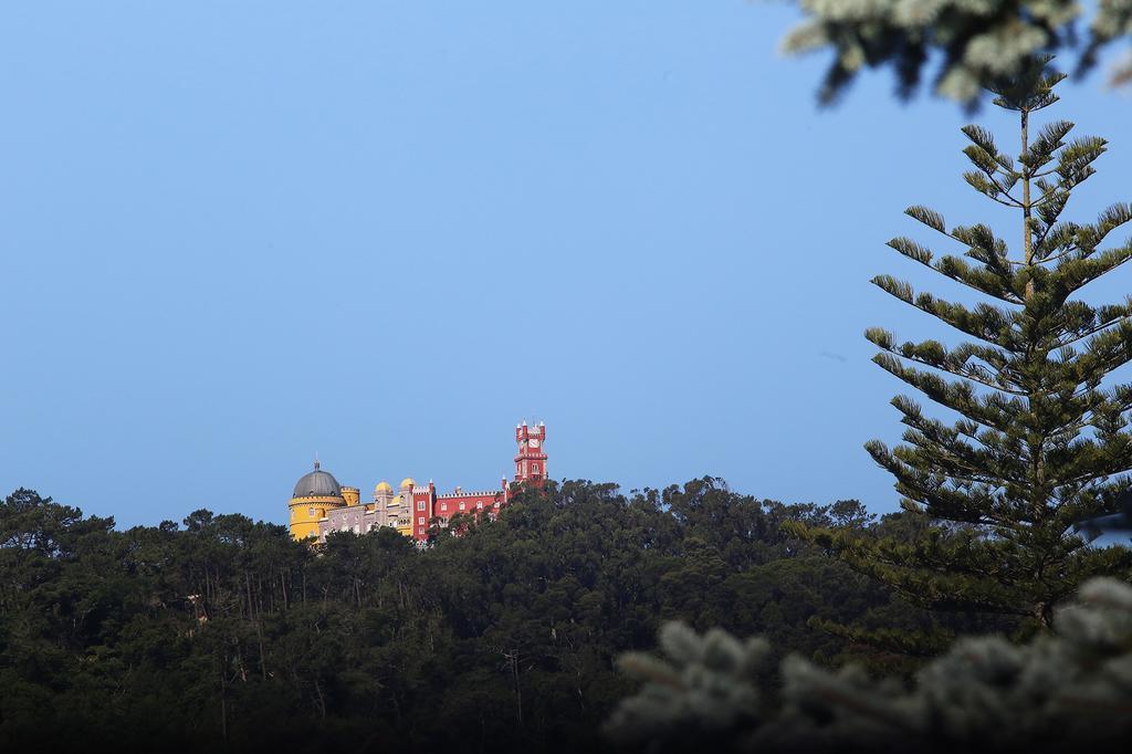 Cosy Sintra Hotel Bagian luar foto